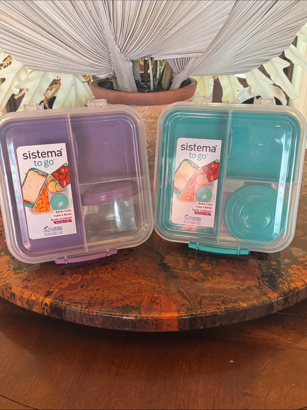 Sistema (2) To Go Bento Cube Lunch Box